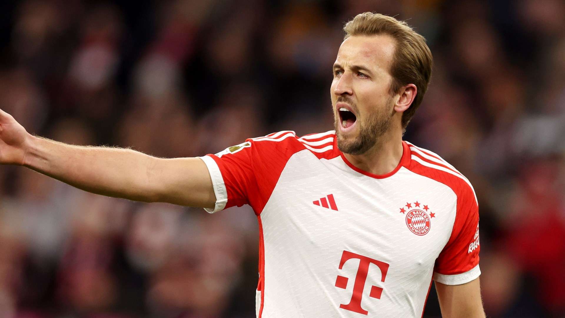 Harry Kane Bayern Munich 2023-24