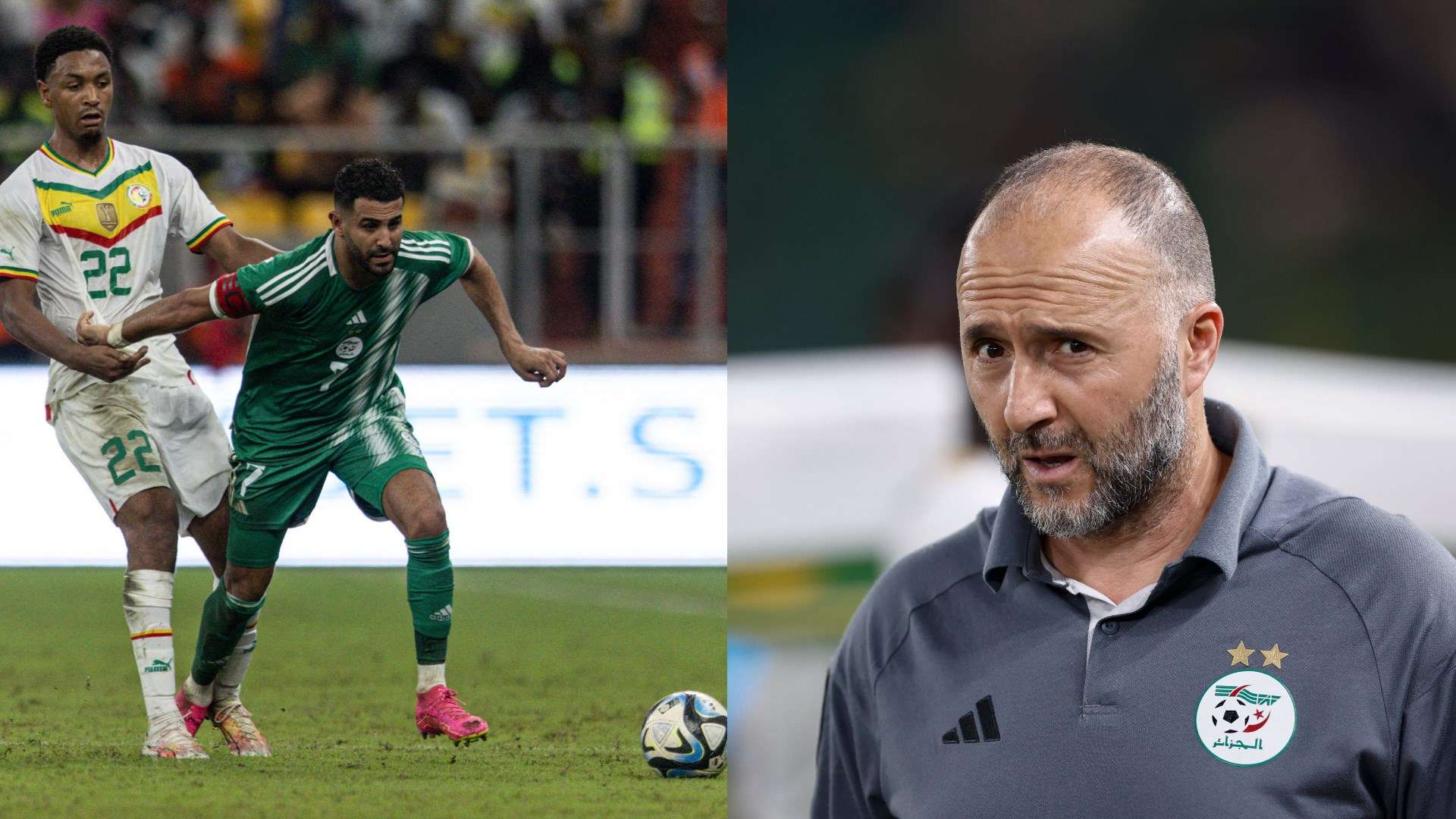 Djamel Belmadi Riyad Mahrez Algeria AFCON 2023