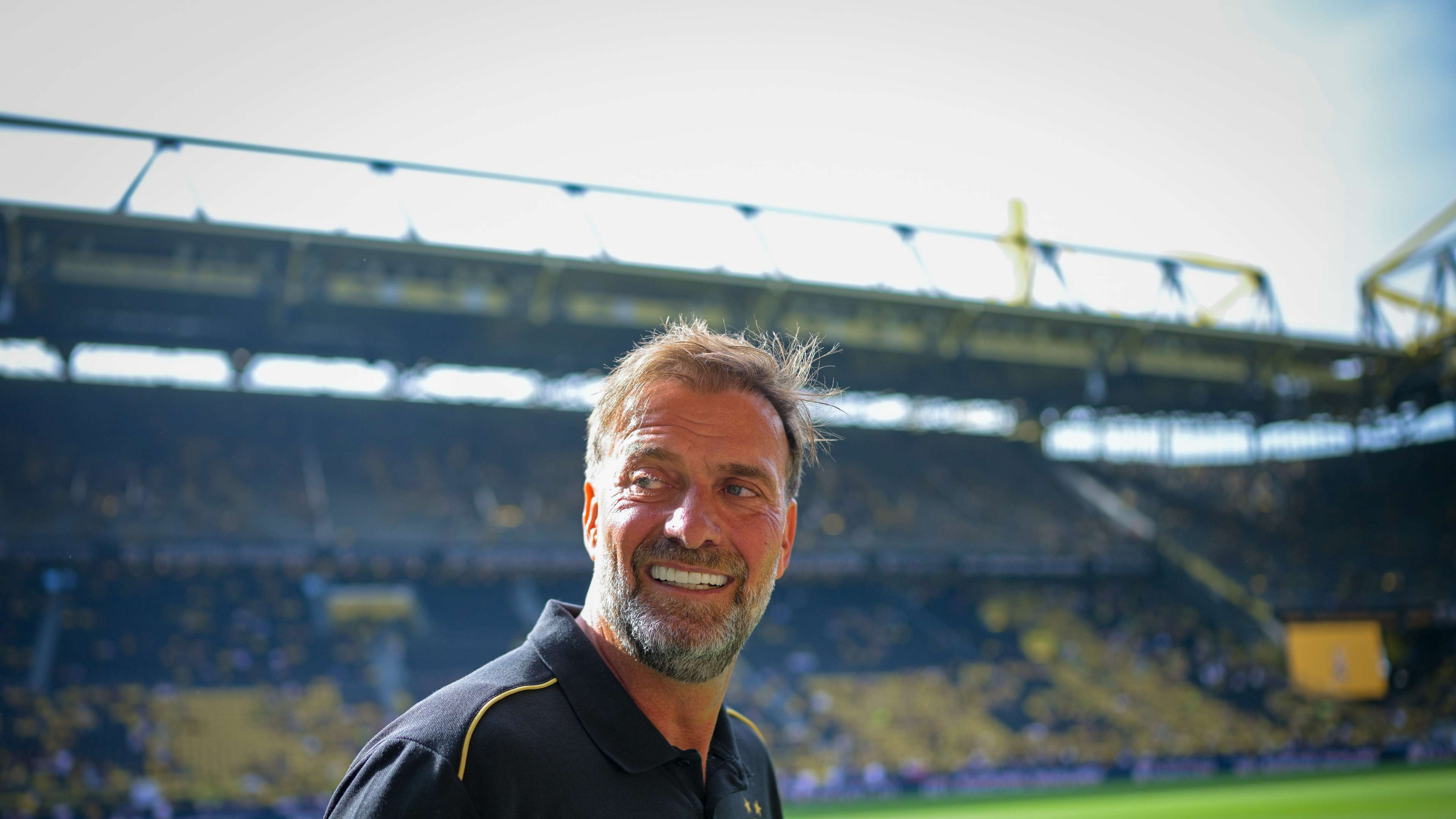 dortmund vs hoffenheim