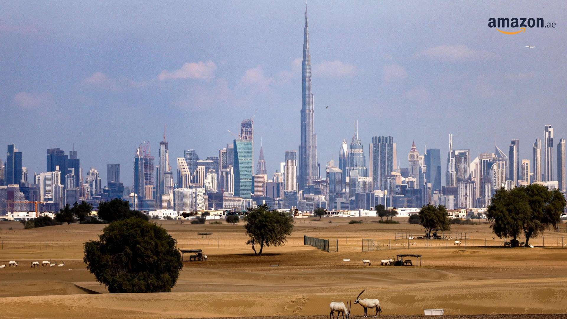 UAE desert