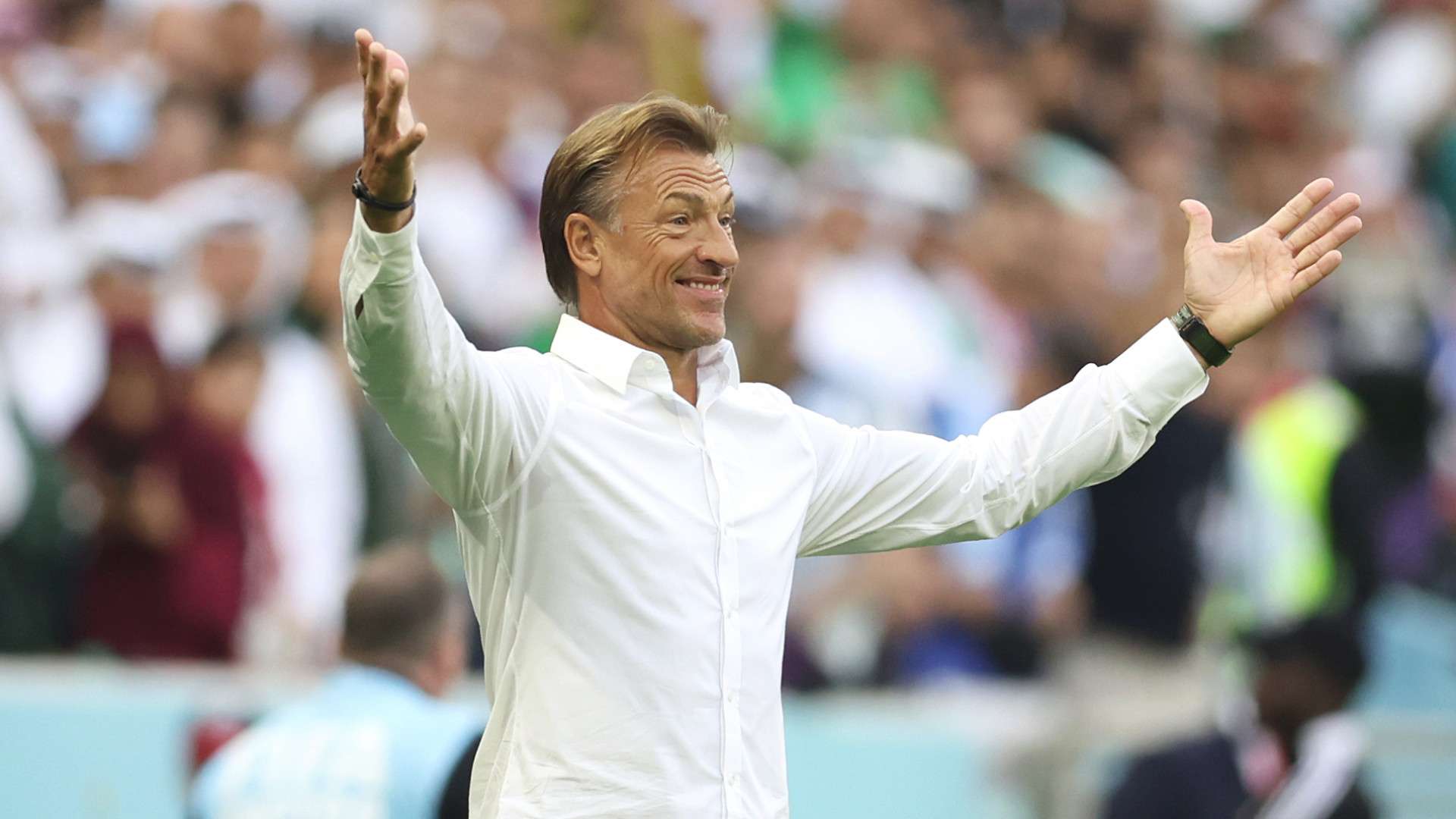 Herve Renard World Cup 2022