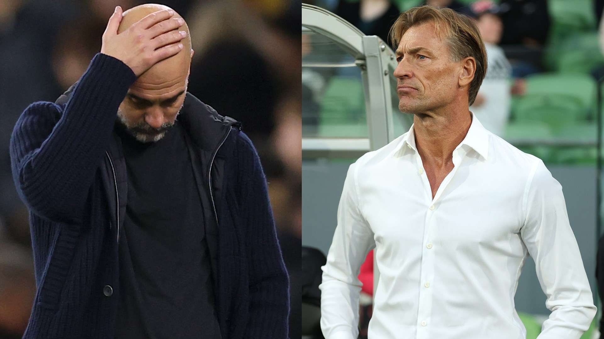 Pep Guardiola - Herve Renard