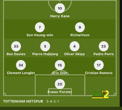 dortmund vs hoffenheim