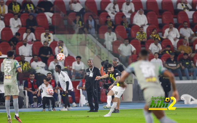 dortmund vs hoffenheim